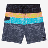 Lennox Print 20" Boardshorts