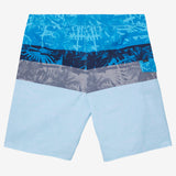 Lennox Print 20" Boardshorts