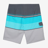 Lennox Stripe 21" Boardshorts