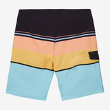 Lennox Stripe 21" Boardshorts
