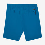 TRVLR Camino 18" Hybrid Shorts