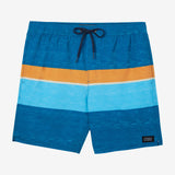 Boy's Hermosa Block Elastic Waist 16" Swim Trunks