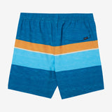 Boy's Hermosa Block Elastic Waist 16" Swim Trunks