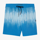 Boy's Stockton Print Elastic Waist 16" Hybrid Shorts