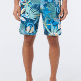 Cruzer 19" Boardshorts