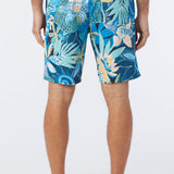 Cruzer 19" Boardshorts