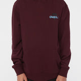 Boy's Fifty Two Print Fill Pullover Fleece