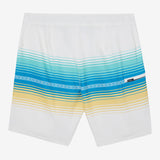 Hyperfreak Heat Stripe Line 19" Boardshorts