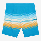 Hyperfreak Heat Stripe Line 19" Boardshorts
