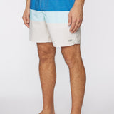 Hermosa Elastic Waist 17" Swim Trunks