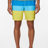 Hermosa Volley 17" Boardshorts