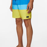 Hermosa Volley 17" Boardshorts