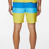 Hermosa Volley 17" Boardshorts