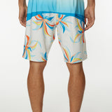 Hyperfreak 20" Boardshorts