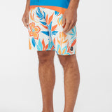 Hyperfreak 20" Boardshorts