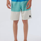 Boy's Hyperfreak Heat Block Boardshorts