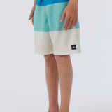 Boy's Hyperfreak Heat Block Boardshorts