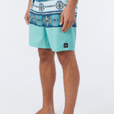 Hyperfreak Heat Print 20" Boardshorts