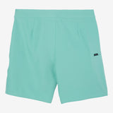 Hyperfreak Heat Solid 19" Boardshorts