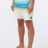 Hyperfreak Heat Stripe Line 19" Boardshorts