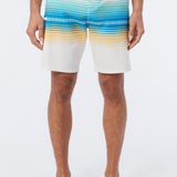 Hyperfreak Heat Stripe Line 19" Boardshorts