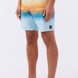 Hyperfreak Heat Stripe Line 19" Boardshorts