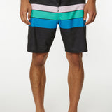 Hyperfreak Heist Line 19'' Boardshorts