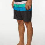 Hyperfreak Heist Line 19'' Boardshorts
