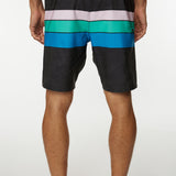 Hyperfreak Heist Line 19'' Boardshorts