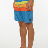 Hyperfreak Heist Line 19'' Boardshorts