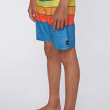 Boy's Hyperfreak Heist Line Boardshorts