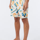 Hyperfreak Mysto 20" Boardshorts