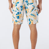Hyperfreak Mysto 20" Boardshorts