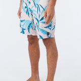 Hyperfreak Mysto 20" Boardshorts