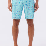 Hyperfreak Mysto 20" Boardshorts