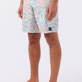 Hyperfreak Mysto 20" Boardshorts