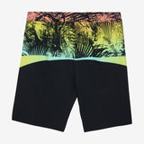 Hyperfreak Tech Block 20" Boardshorts