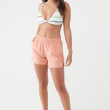 Jetties Stretch 4" Boardshorts