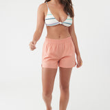 Jetties Stretch 4" Boardshorts