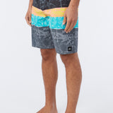 Lennox Print 20" Boardshorts