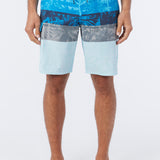 Lennox Print 20" Boardshorts