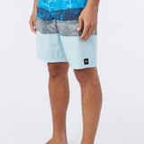 Lennox Print 20" Boardshorts