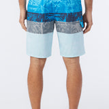Lennox Print 20" Boardshorts