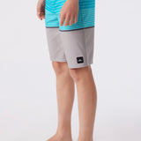 Boy's Lennox Stripe 18" Boardshorts