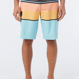 Lennox Stripe 21" Boardshorts