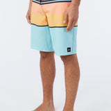 Lennox Stripe 21" Boardshorts