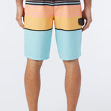 Lennox Stripe 21" Boardshorts
