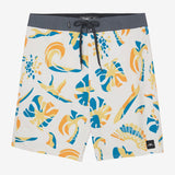 Hyperfreak Mysto 20" Boardshorts