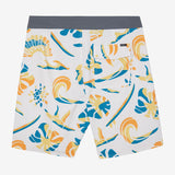 Hyperfreak Mysto 20" Boardshorts