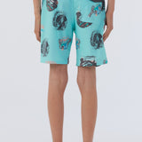 Boy's Rail To Rail Cruzer Boardshorts